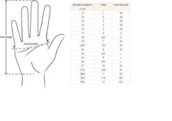 Merkloos Handschoenen - Touchscreen - Grip - Waterafstotend - Thermisch - Wintersport - Ski/Snowboardhandschoenen - Fietshandschoenen - Dames - Maat M - Stretch - Roze 13 Merkloos Handschoenen - Touchscreen - Grip - Waterafstotend - Thermisch - Wintersport - Ski/Snowboardhandschoenen - Fietshandschoenen - Dames - Maat M - Stretch - Roze -Fietsenwinkel 1200x846 1