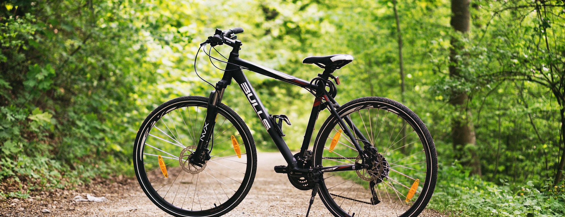 Fietsenwinkel -Fietsenwinkel bicycle 1834265 1920