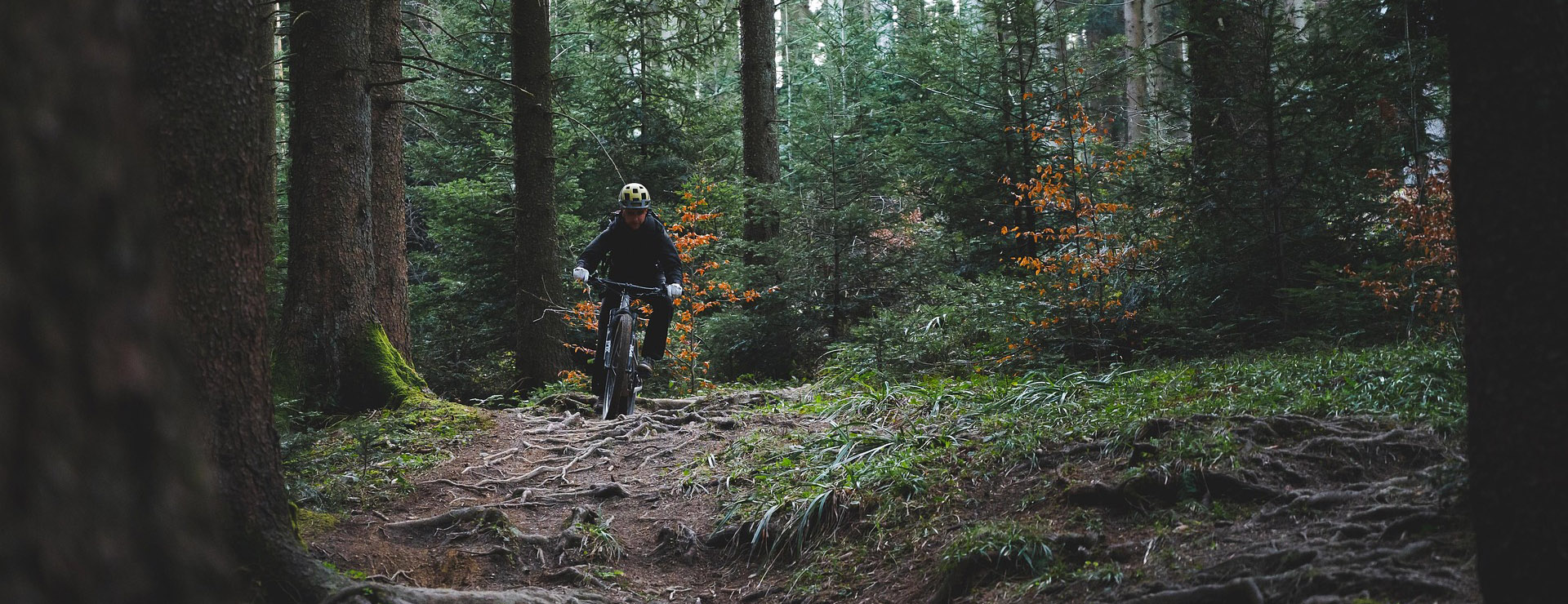 Fietsenwinkel -Fietsenwinkel trail riding 6725753 1920